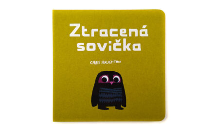 Ztracená sovička