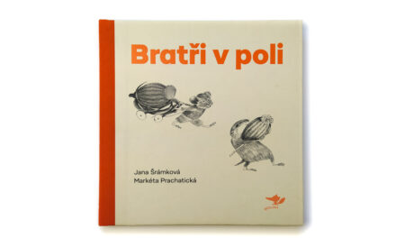 Bratři v poli