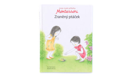 Moje malé příběhy Montessori: Zraněný ptáček