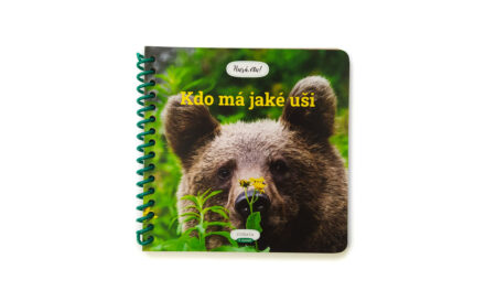 Kdo má jaké uši