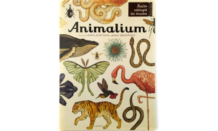 Animalium