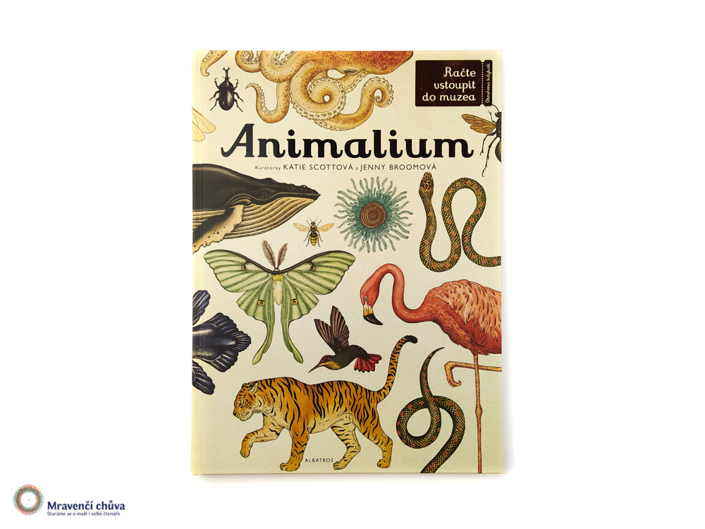 Animalium