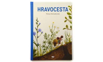 Hravocesta