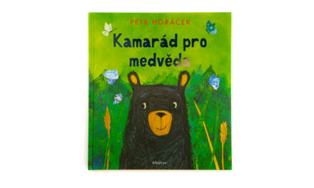 Kamarád pro medvěda