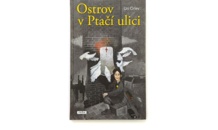 Ostrov v Ptačí ulici