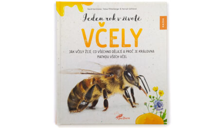 Jeden rok v životě včely