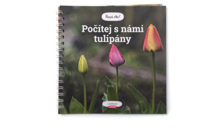 Počítej s námi tulipány