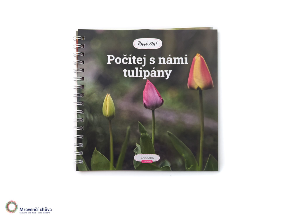 Počítej s námi tulipány