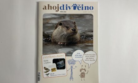 Ahoj divočino: Zima 2023